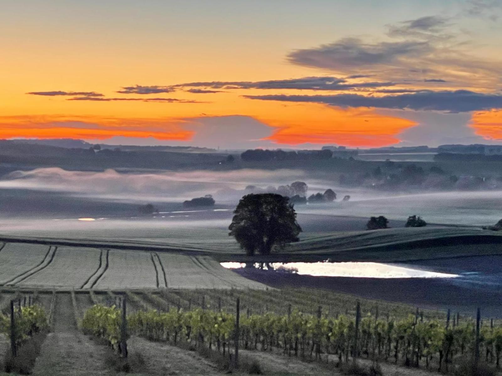 Paradis Des Vignes Birac  Pokój zdjęcie