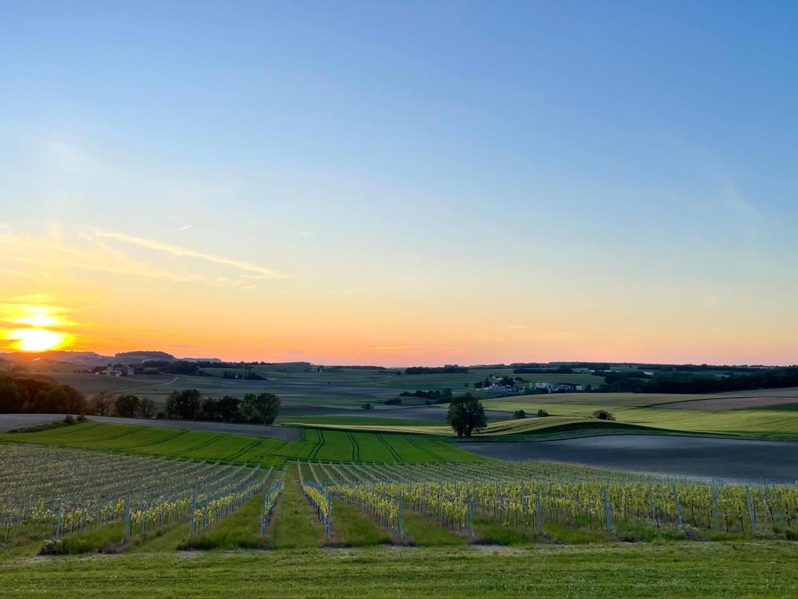 Paradis Des Vignes Birac  Pokój zdjęcie